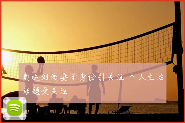 奥运刘浩妻子身份引关注 个人生活话题受关注