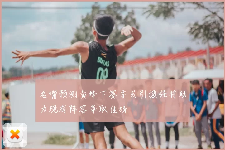 名嘴预测黄蜂下赛季或引援强将助力现有阵容争取佳绩