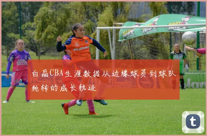 白晶CBA生涯数据从边缘球员到球队轮转的成长轨迹