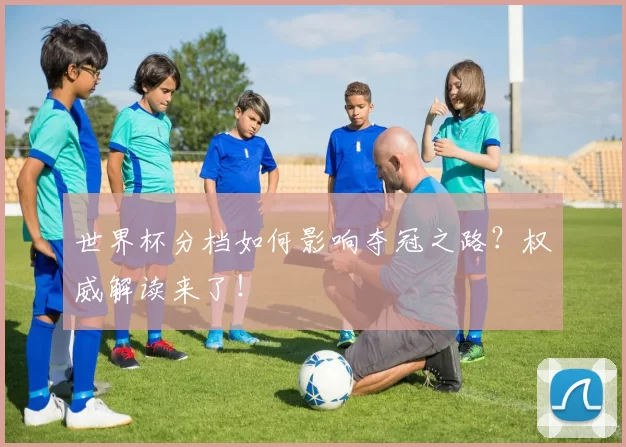 世界杯分档如何影响夺冠之路?权威解读来了!