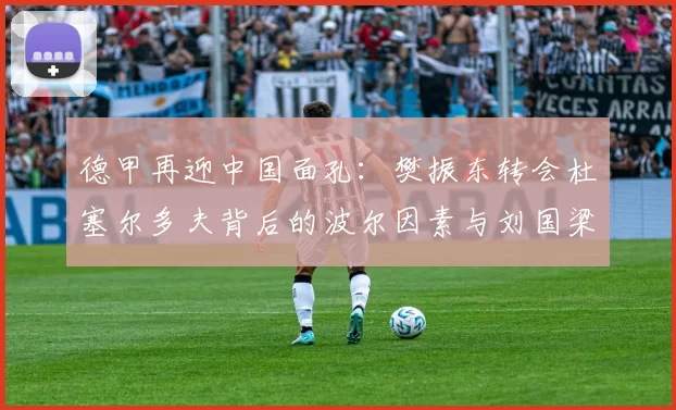 德甲再迎中国面孔:樊振东转会杜塞尔多夫背后的波尔因素与刘国梁的远见_德国_欧冠_年轻人