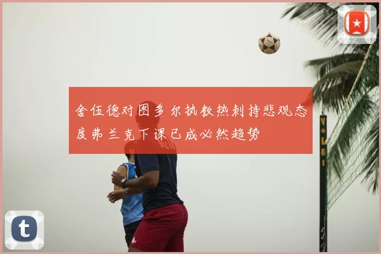 舍伍德对图多尔执教热刺持悲观态度弗兰克下课已成必然趋势