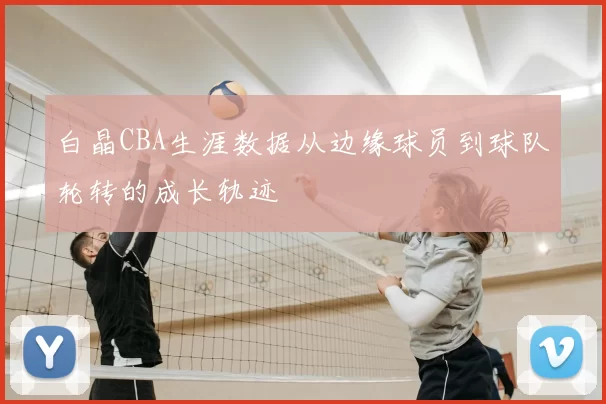 白晶CBA生涯数据从边缘球员到球队轮转的成长轨迹