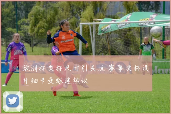 欧洲杯奖杯尺寸引关注 赛事奖杯设计细节受球迷热议