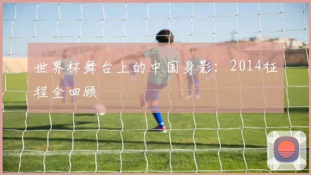 世界杯舞台上的中国身影:2014征程全回顾