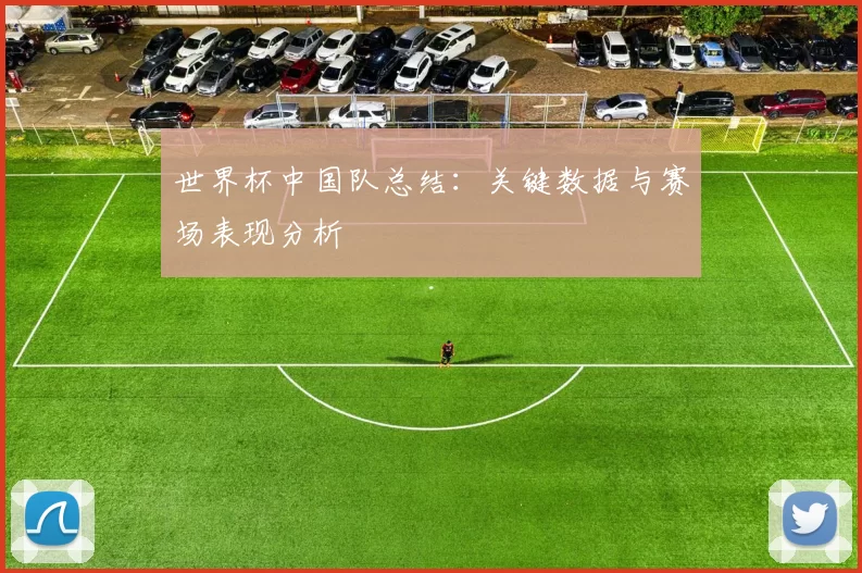 世界杯中国队总结:关键数据与赛场表现分析