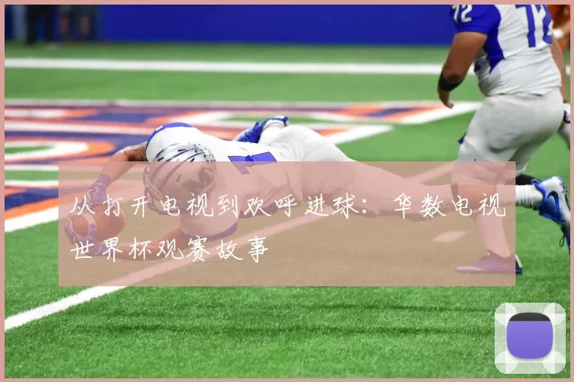 从打开电视到欢呼进球:华数电视世界杯观赛故事
