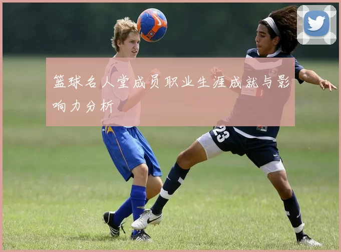 篮球名人堂成员职业生涯成就与影响力分析