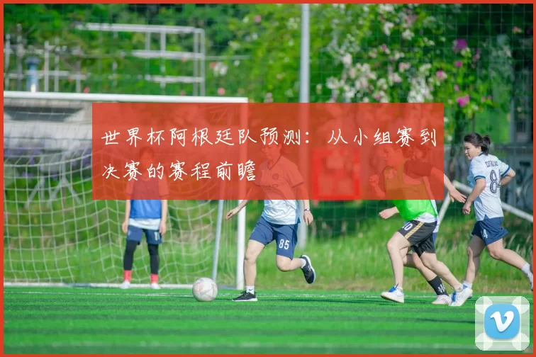 世界杯阿根廷队预测:从小组赛到决赛的赛程前瞻
