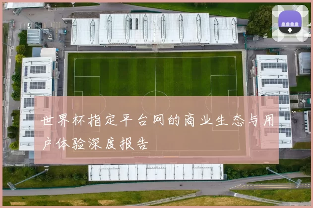 世界杯指定平台网的商业生态与用户体验深度报告