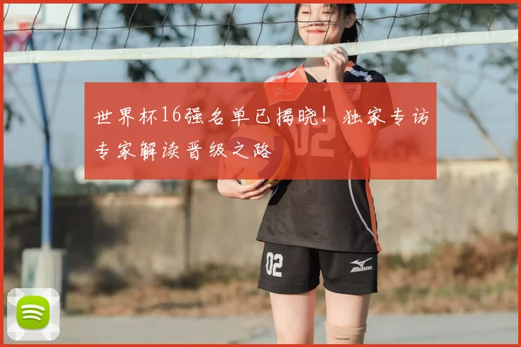 世界杯16强名单已揭晓！独家专访专家解读晋级之路