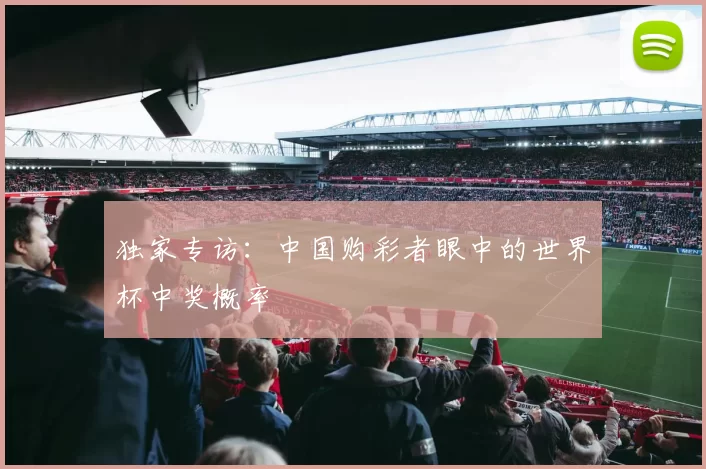 独家专访:中国购彩者眼中的世界杯中奖概率