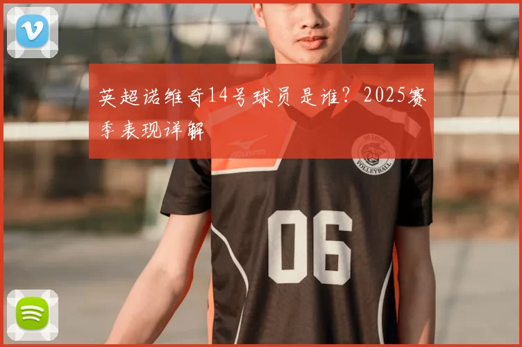英超诺维奇14号球员是谁？2025赛季表现详解