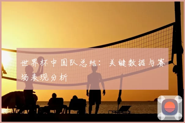 世界杯中国队总结:关键数据与赛场表现分析