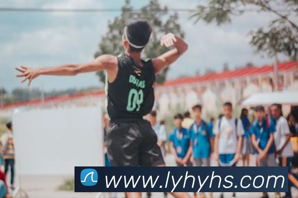 华体会体育发展历程